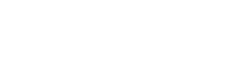 Spence Lanka Travels